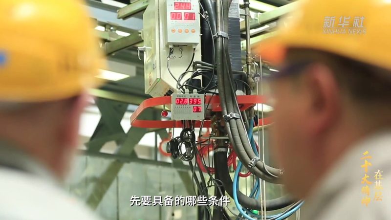 数据可视化配色模板分为多种类型，包括：